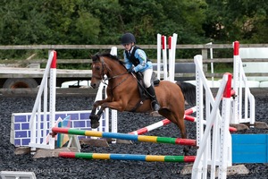 Class 1 - Fences 1'6 to 1'9